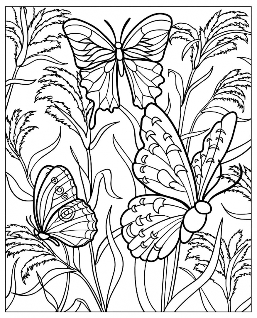 Butterfly Coloring Pages Free Printable - Printable - Butterflies coloring to download for free - Butterflies Kids
