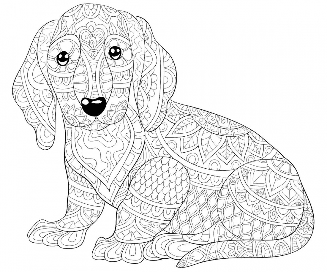 Free Dog Printable Coloring Pages - Printable - Dog Coloring Pages: Free Printable Coloring Pages of Dogs for Dog