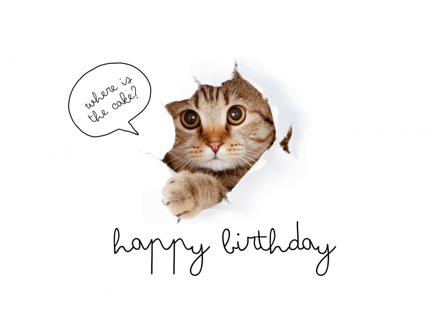 Printable Free Funny Birthday Cards - Printable - Free printable funny birthday card templates  Canva