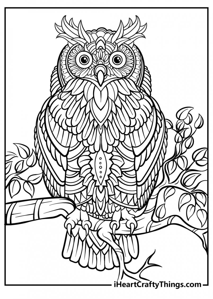 Free Printable Color Pages For Adults - Printable - Printable Adult Coloring Pages (Updated )