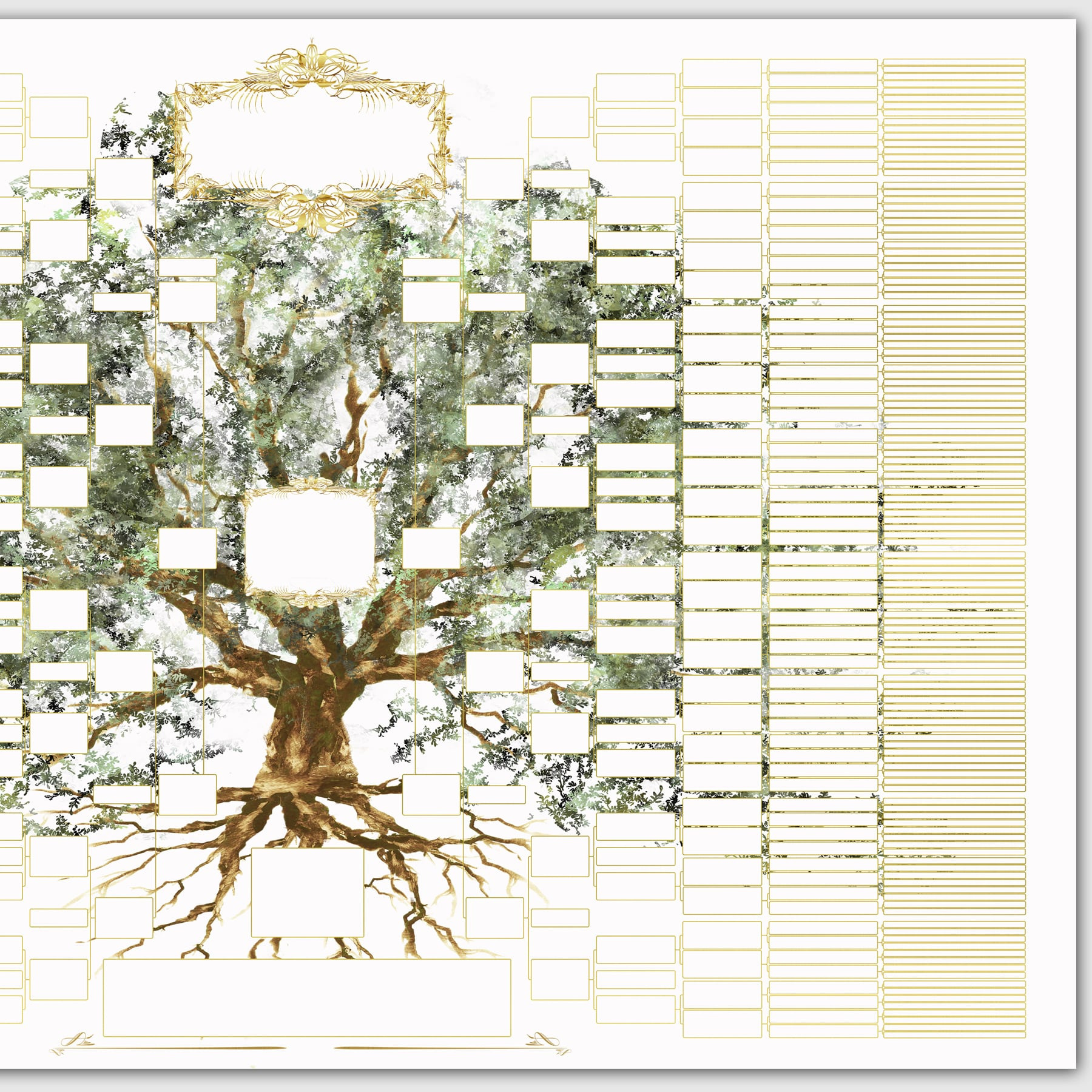 10-Generation Tree Template With Roots &amp;amp; Branches for 10 Generation Family Tree Template Free