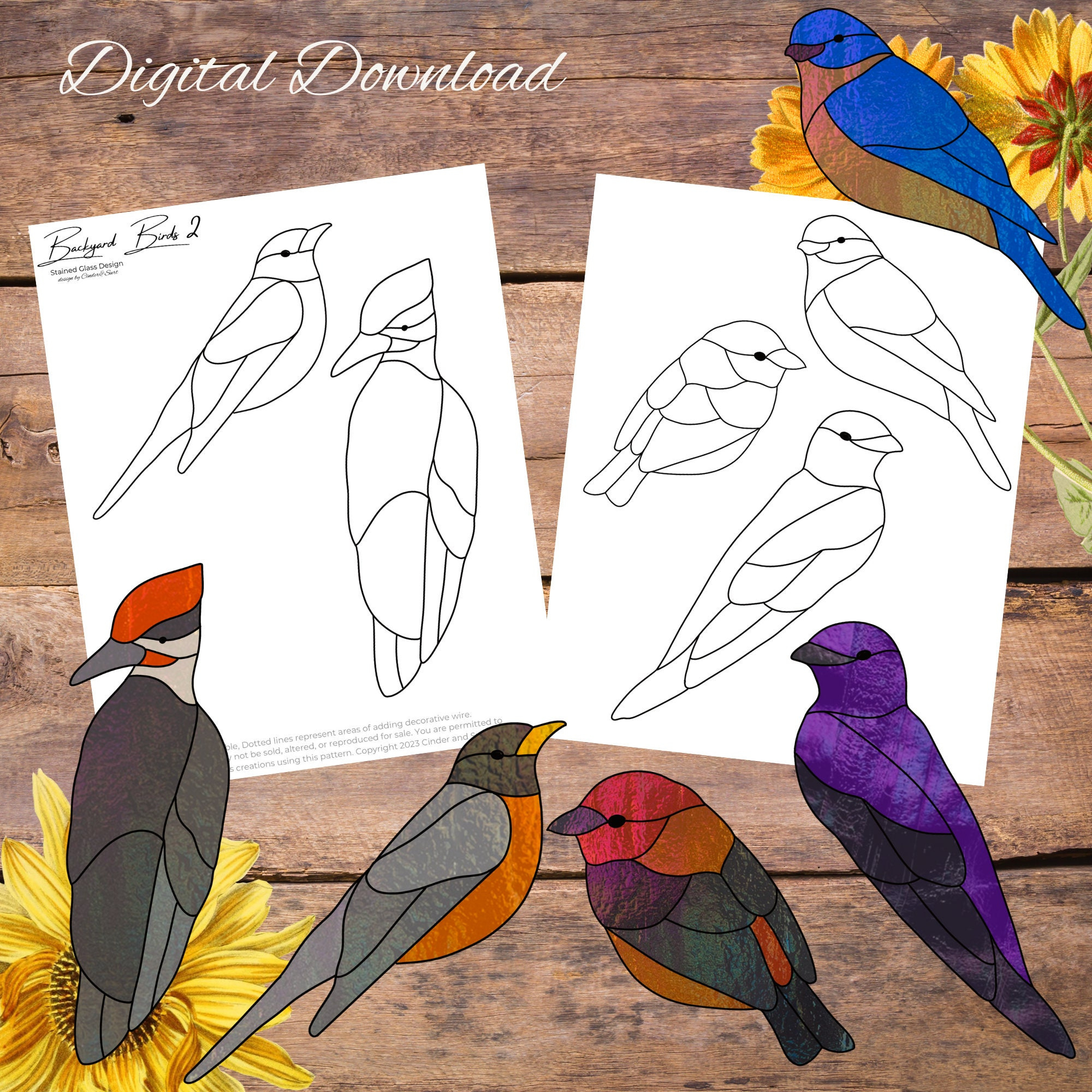 Backyard Birds 2, Simple Easy Bird Glass Suncatcher, Robin Bird in Free Printable Stained Glass Bird Patterns