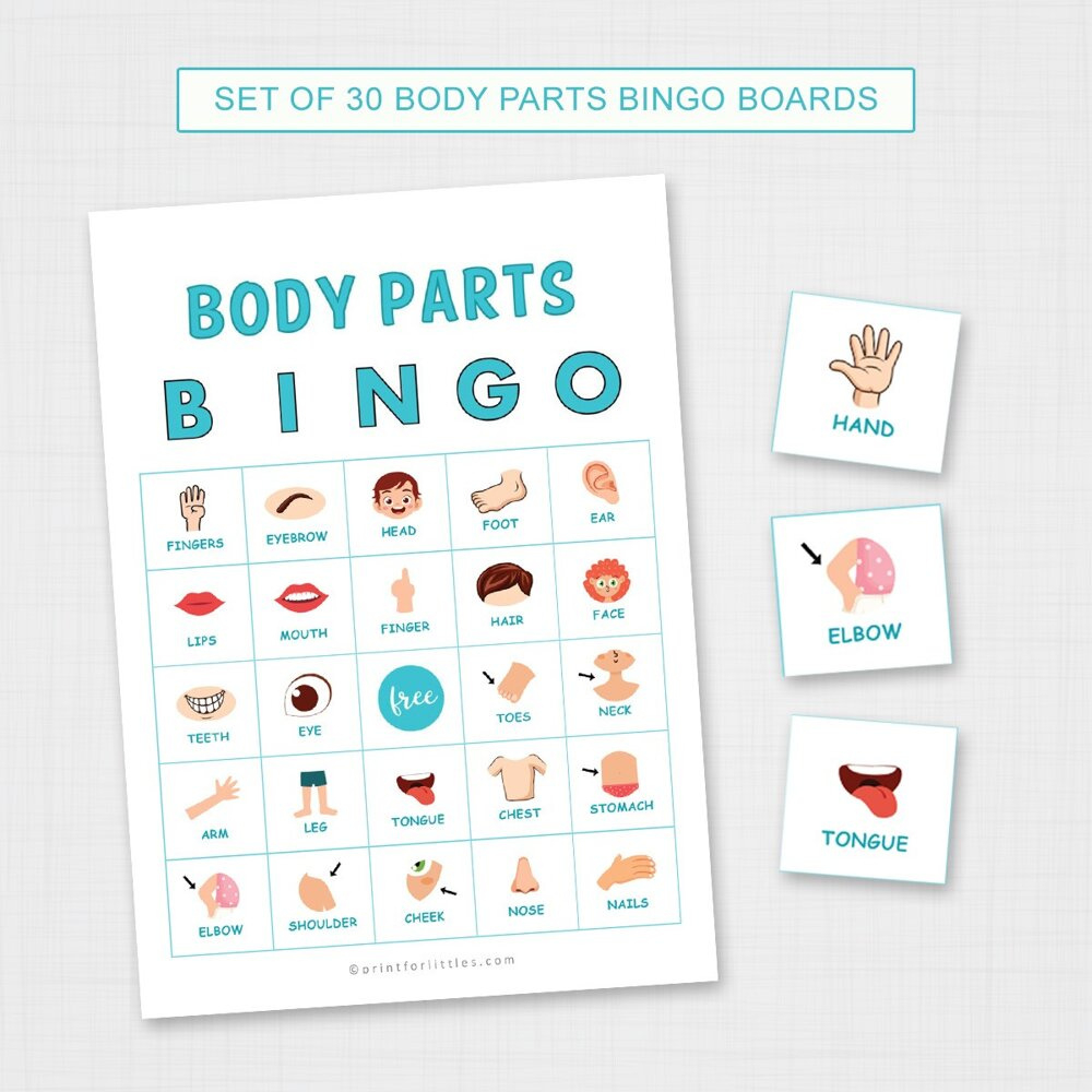 Body Parts Bingo Printable with regard to Body Parts Bingo Printable Free