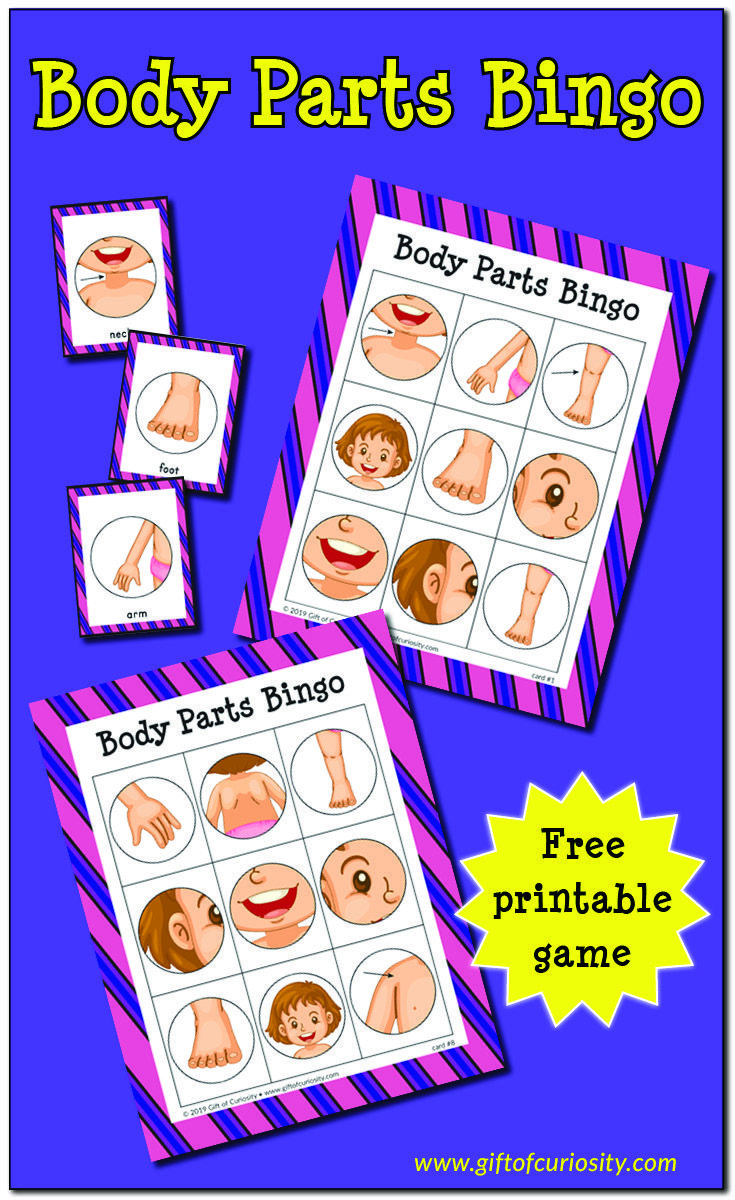 Body Parts Bingo throughout Body Parts Bingo Printable Free