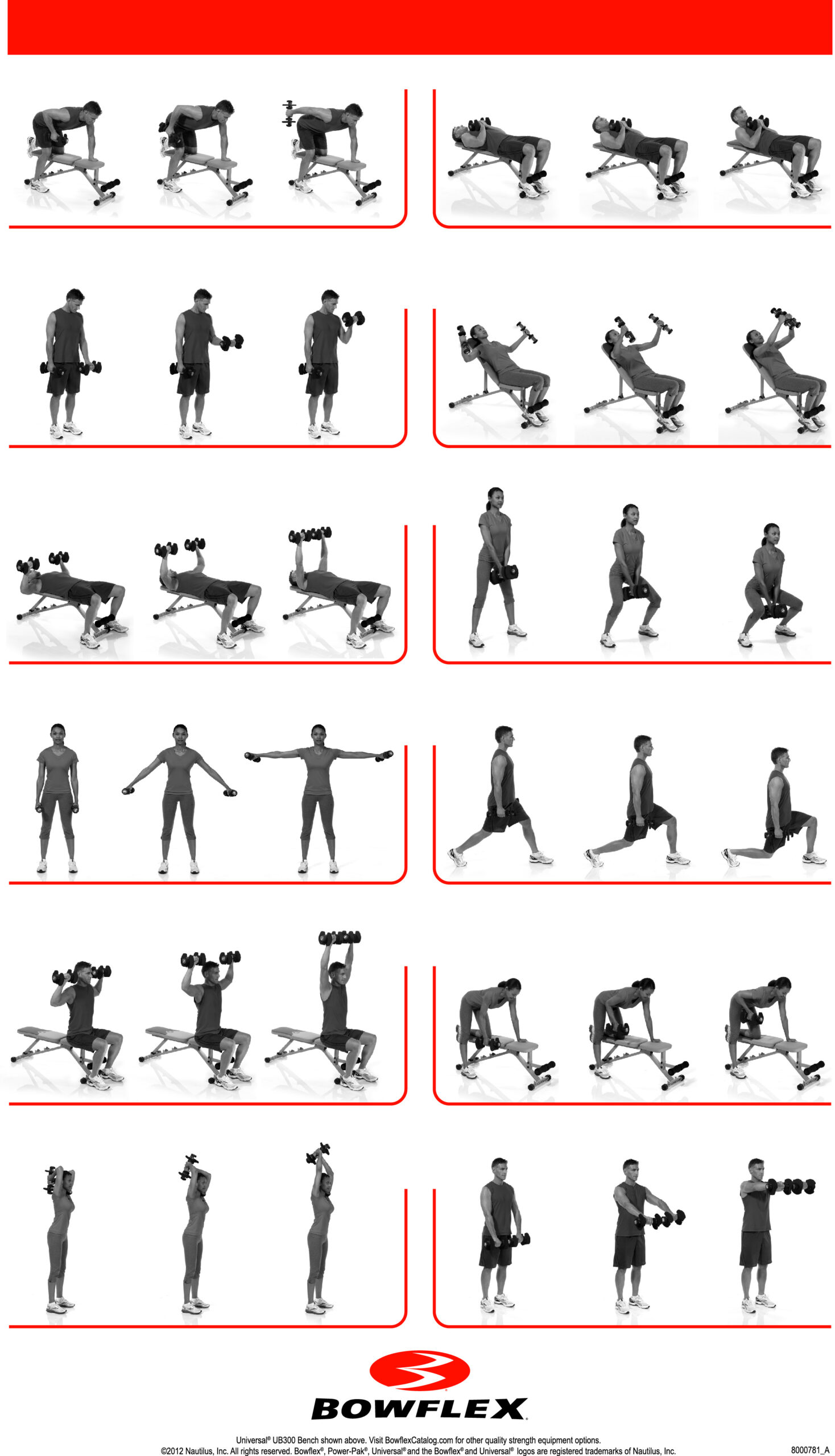 Bowflex Machine Bowflex Pr3000 Workout Chart Bowflex Exercise inside Printable Bowflex Workout Chart Free Download