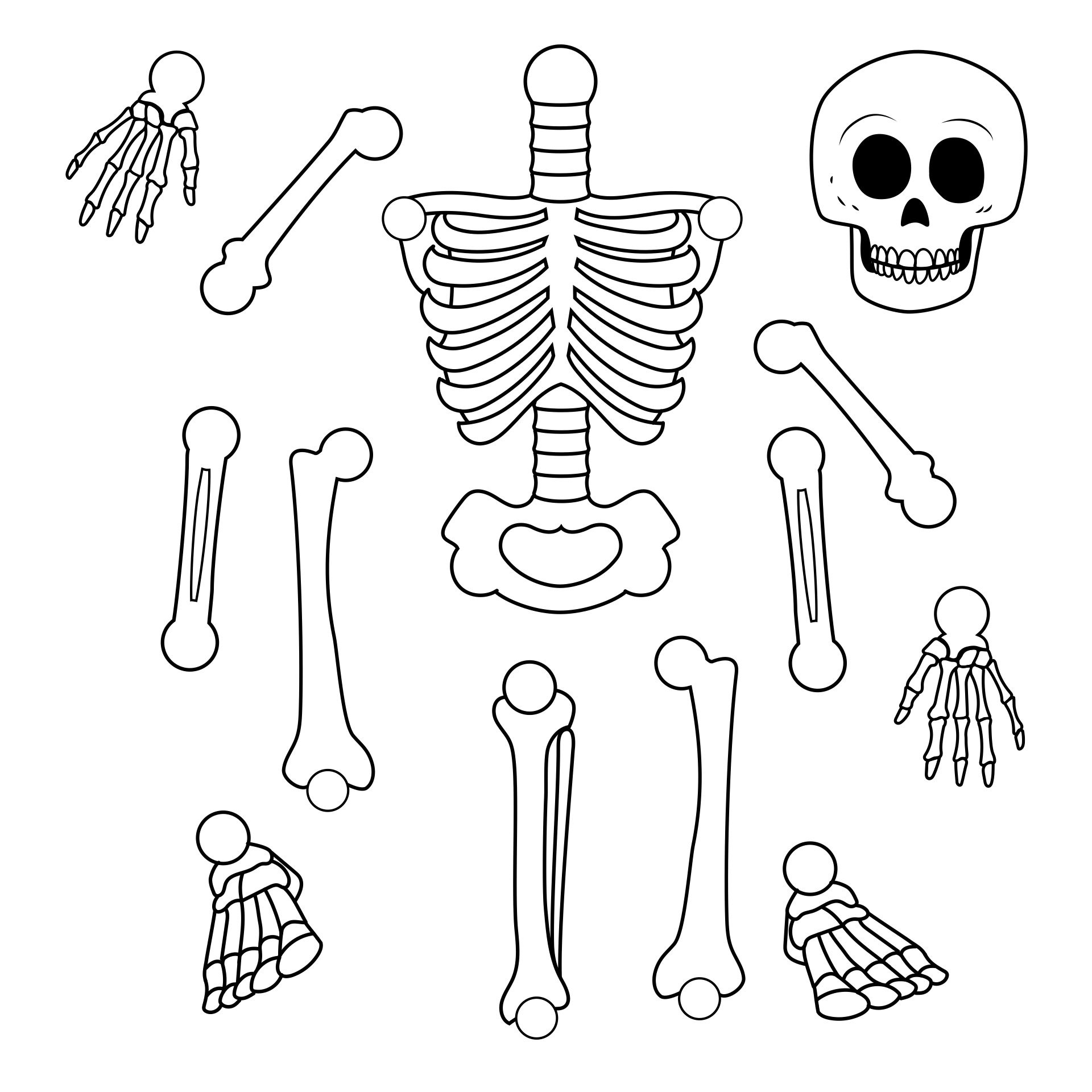 Build A Skeleton regarding Free Printable Skeleton Template Cut Out