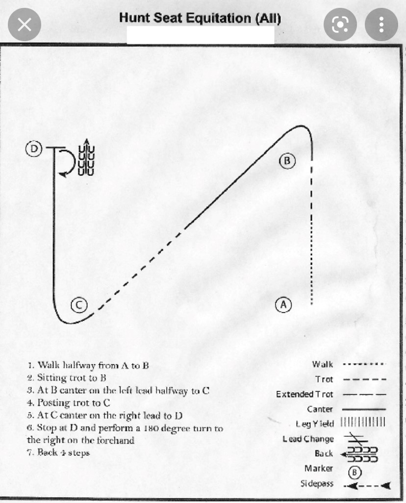 Cotton Country Patterns regarding Horse Show Patterns Printable