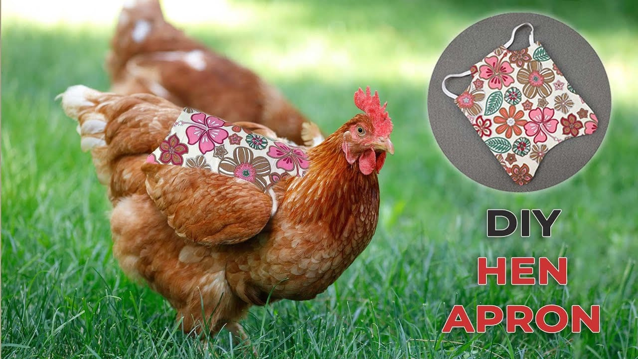 Diy Chicken Saddle - Free Hen Apron Pattern pertaining to Free Printable Chicken Saddle Pattern