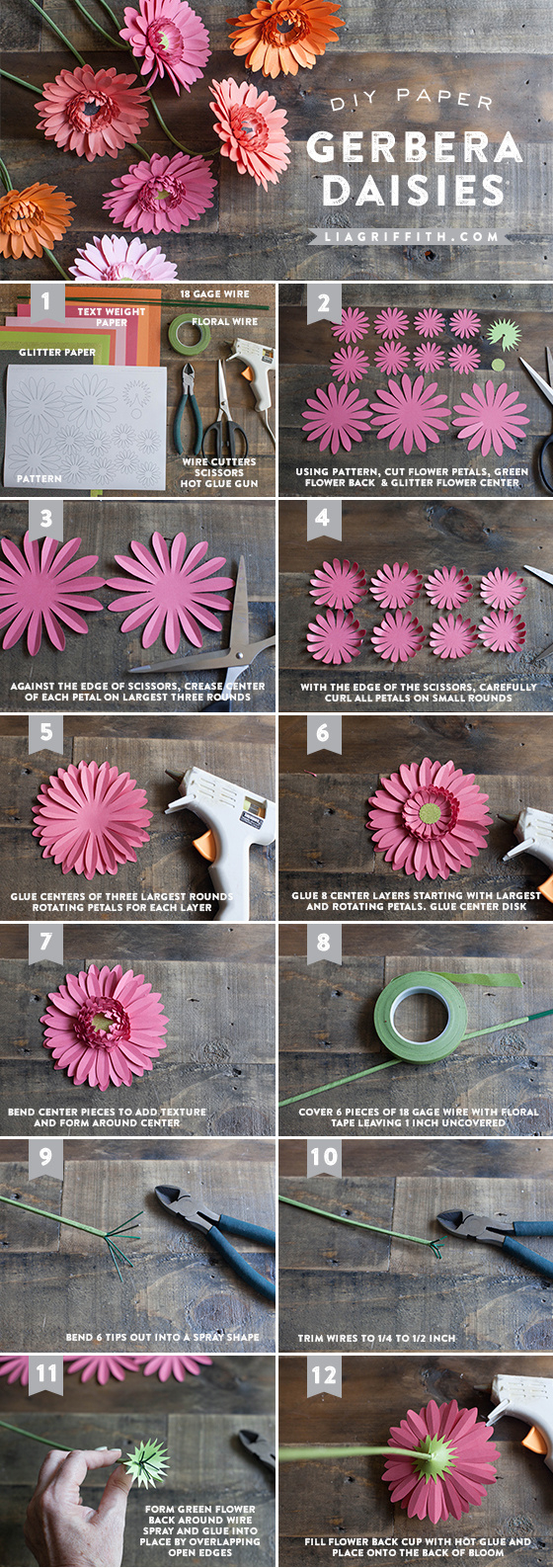Diy Gerbera Daisy Paper Flower. throughout Free Gerbera Daisy Template