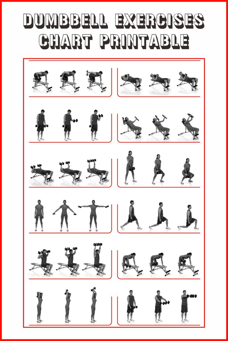 Dumbbell Exercises Chart - 10 Free Pdf Printables | Printablee within Chart Of Dumbbell Exercises Free Printable