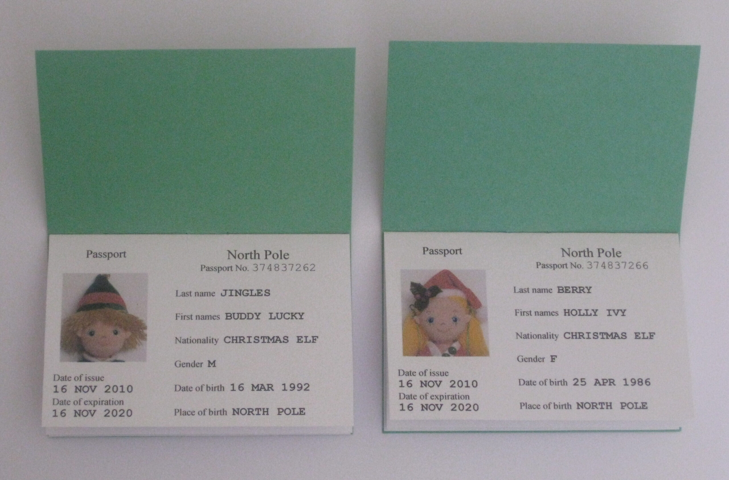 Elf Passports & More | Berry Jingles Blog with regard to Elf Passport Free Printable