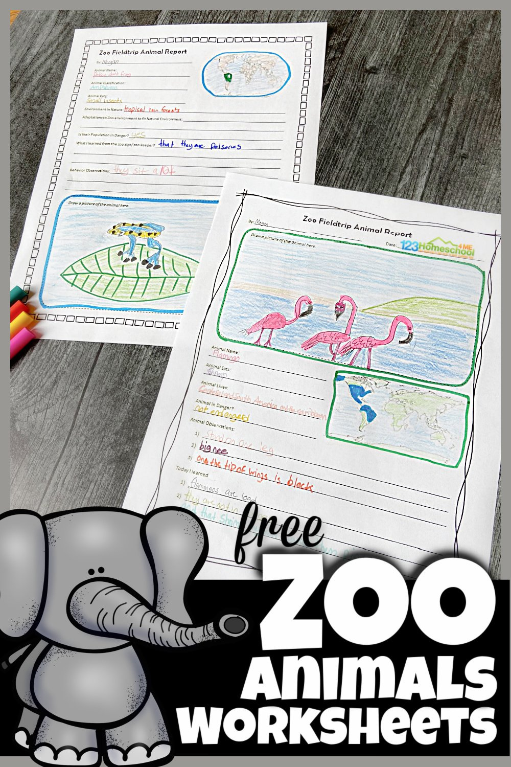 🐘 Free Zoo Field Trip Worksheet And Animal Reports in Free Zoo Field Trip Printables