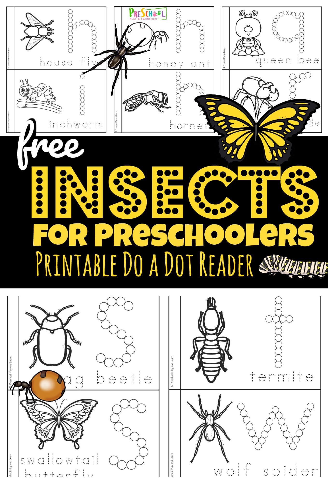 🕷🐞 🦋 Free Insects For Preschoolers Printable Book with regard to Free Insect Printables