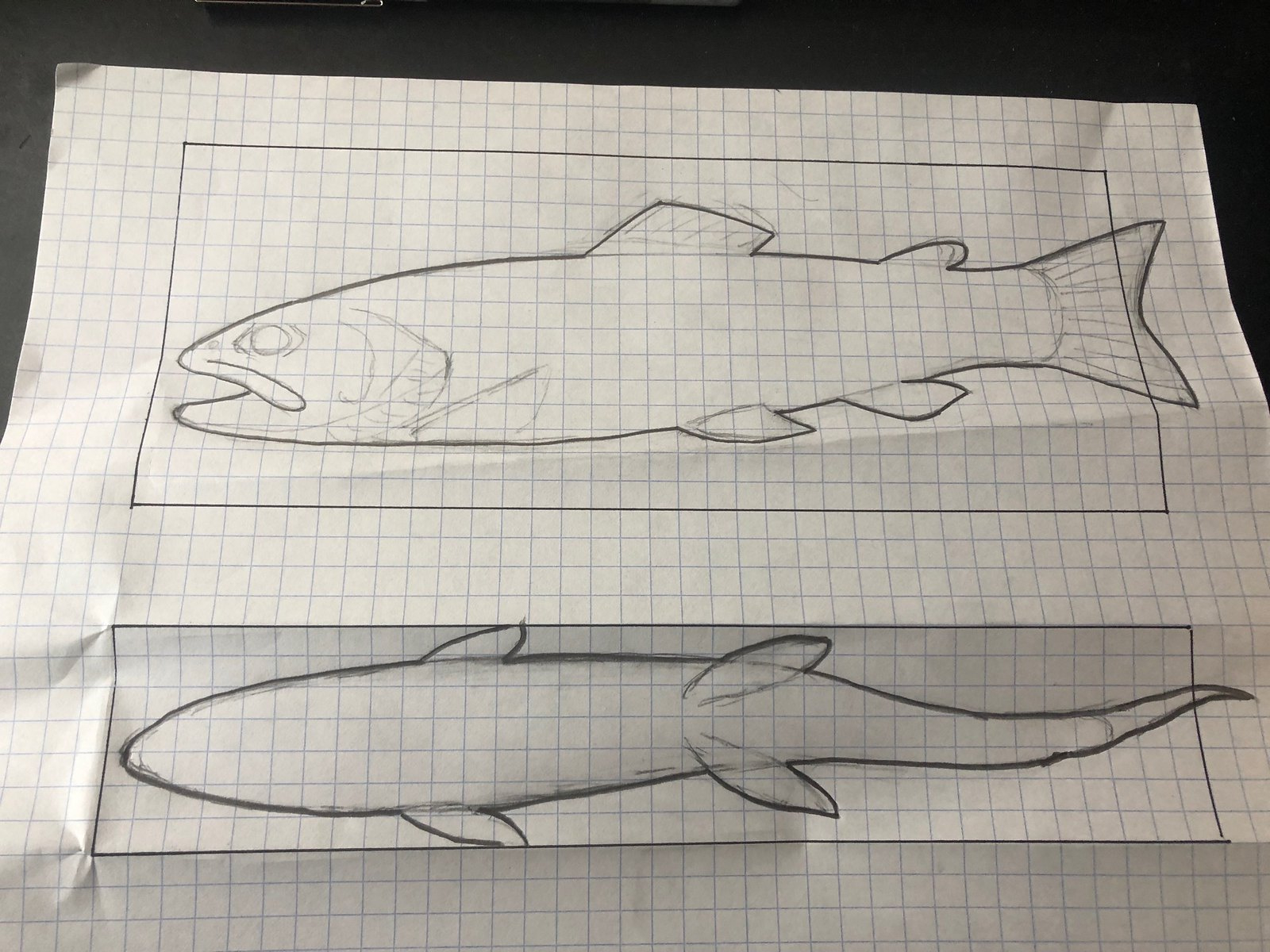First Brook Trout Carving | Paflyfish for Printable Fish Wood Carving Patterns