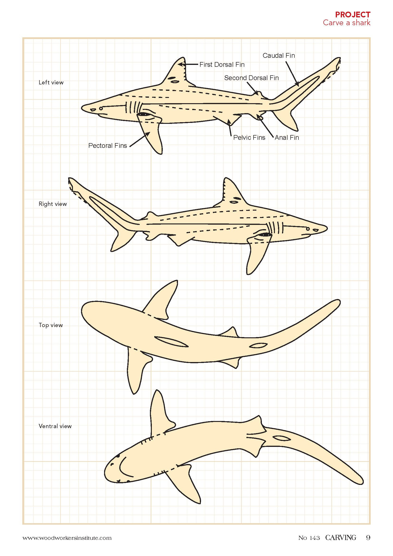 Fish Wood Carving Patterns throughout Printable Fish Wood Carving Patterns