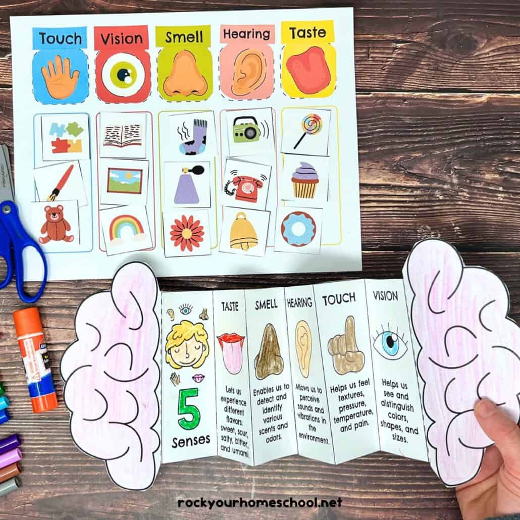 Five Senses Printables Pack For Sorting Fun And More (Free) - Rock intended for 5 Senses Free Printables