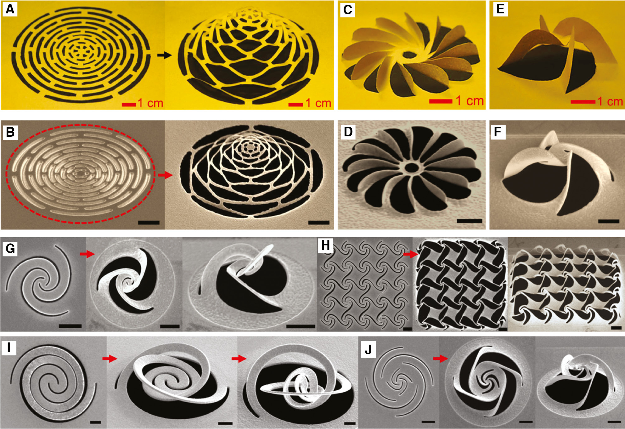 Focused-Ion-Beam-Based Nano-Kirigami: From Art To Photonics with regard to Concentric Kirigami Pattern Printable