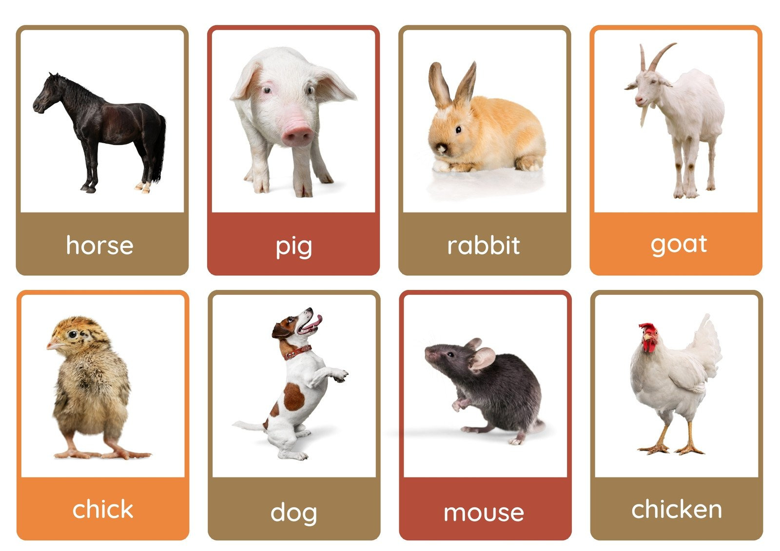 Free Animal Flashcards To Customize And Print | Canva intended for Animals Flashcards Free Printable