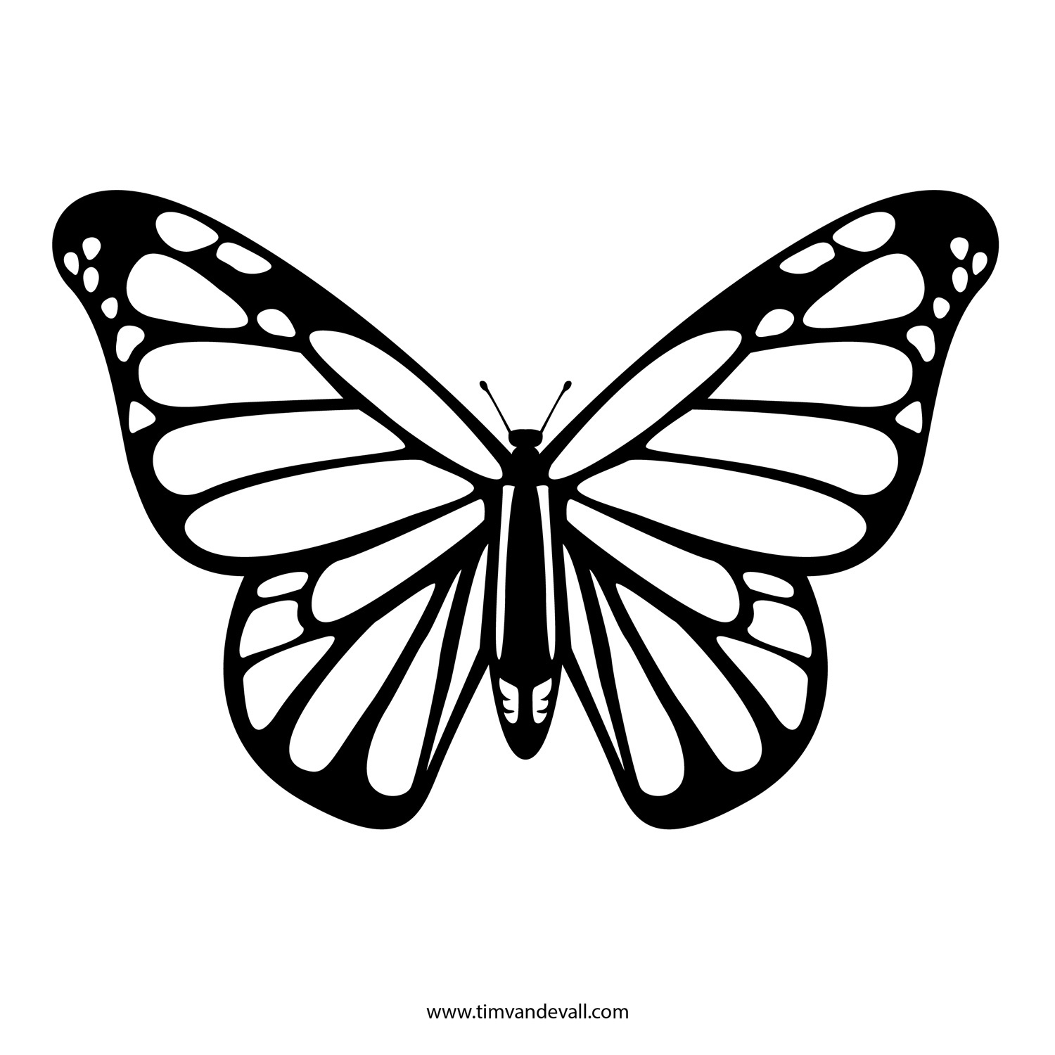 Free Butterfly Stencil | Monarch Butterfly Outline And Silhouette for Free Printable Insect Stencils