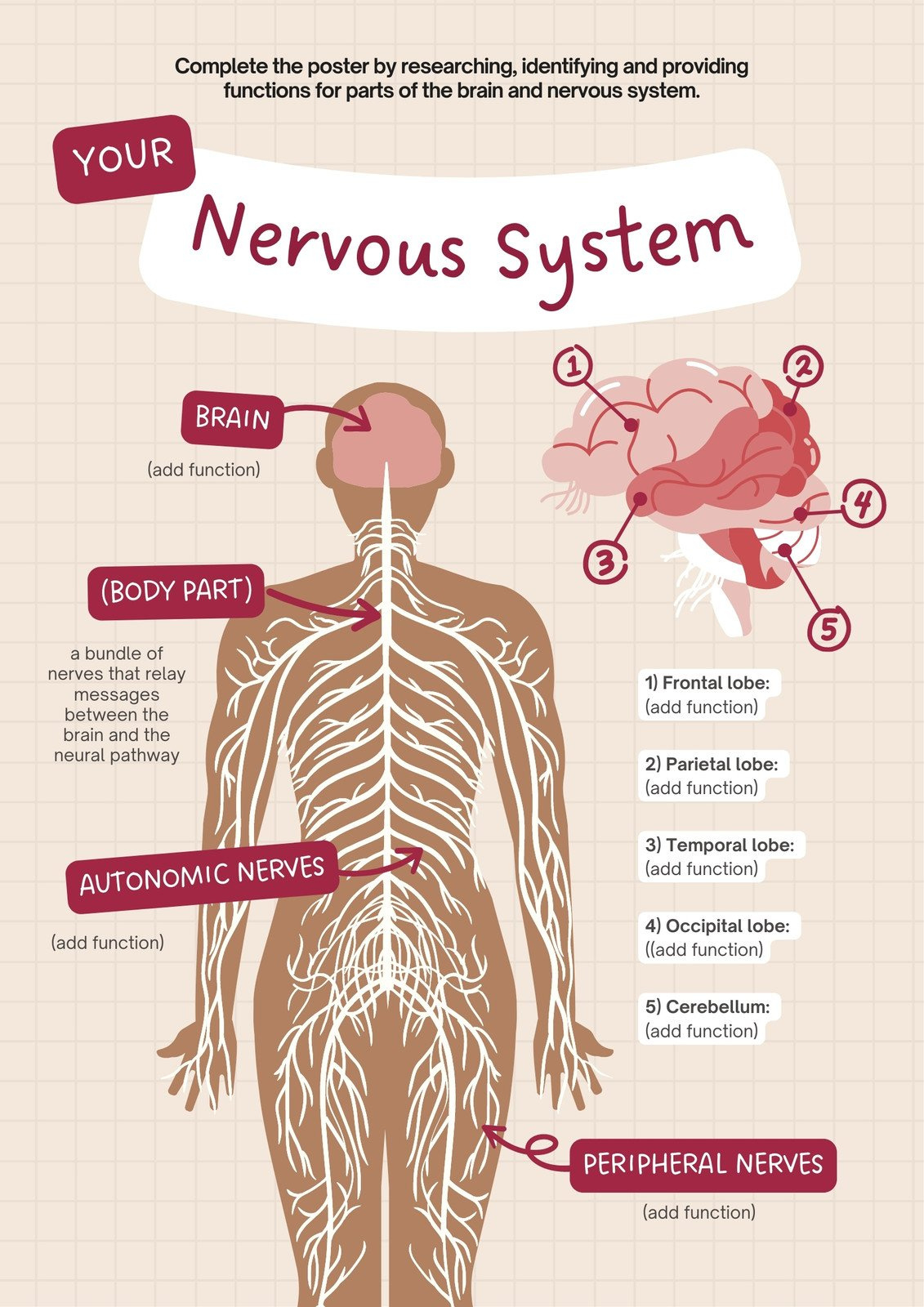 Free Editable Printable Anatomy Poster Templates | Canva within Free Anatomy Printables