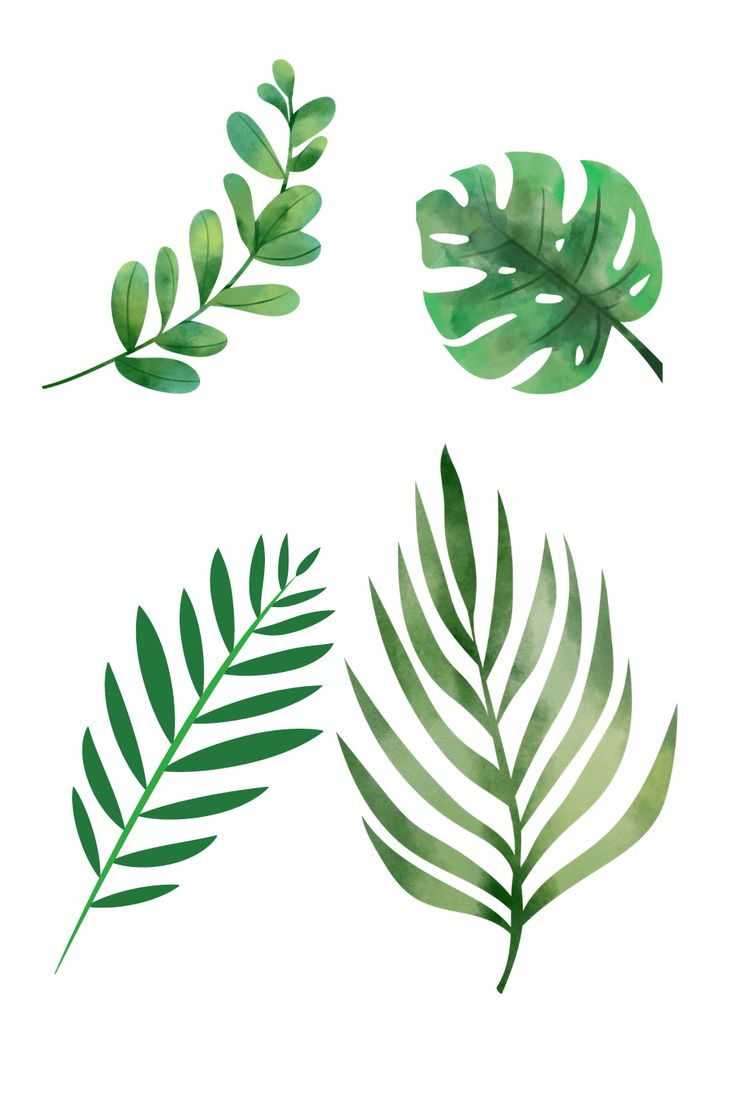 Free Green Leaf Printable Templets regarding Free Printable Pictures Of Leaves