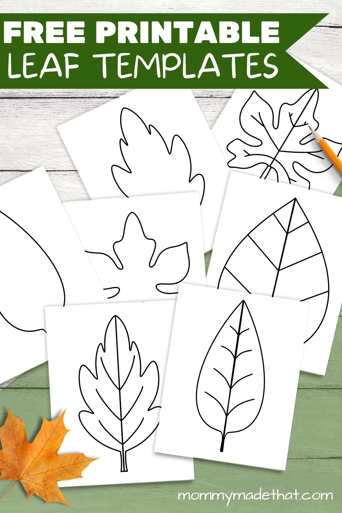 Free Leaf Templates &amp;amp; Outlines: Tons Of Printables!! with Free Printable Leaf Patterns
