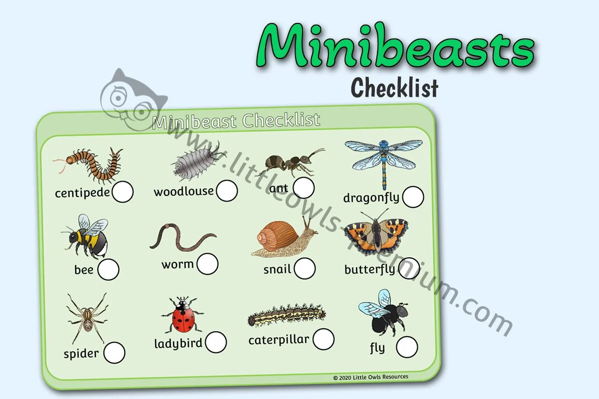 Free Minibeasts Checklist Early Years/Ey (Eyfs) Printable Download throughout Free Minibeast Printables