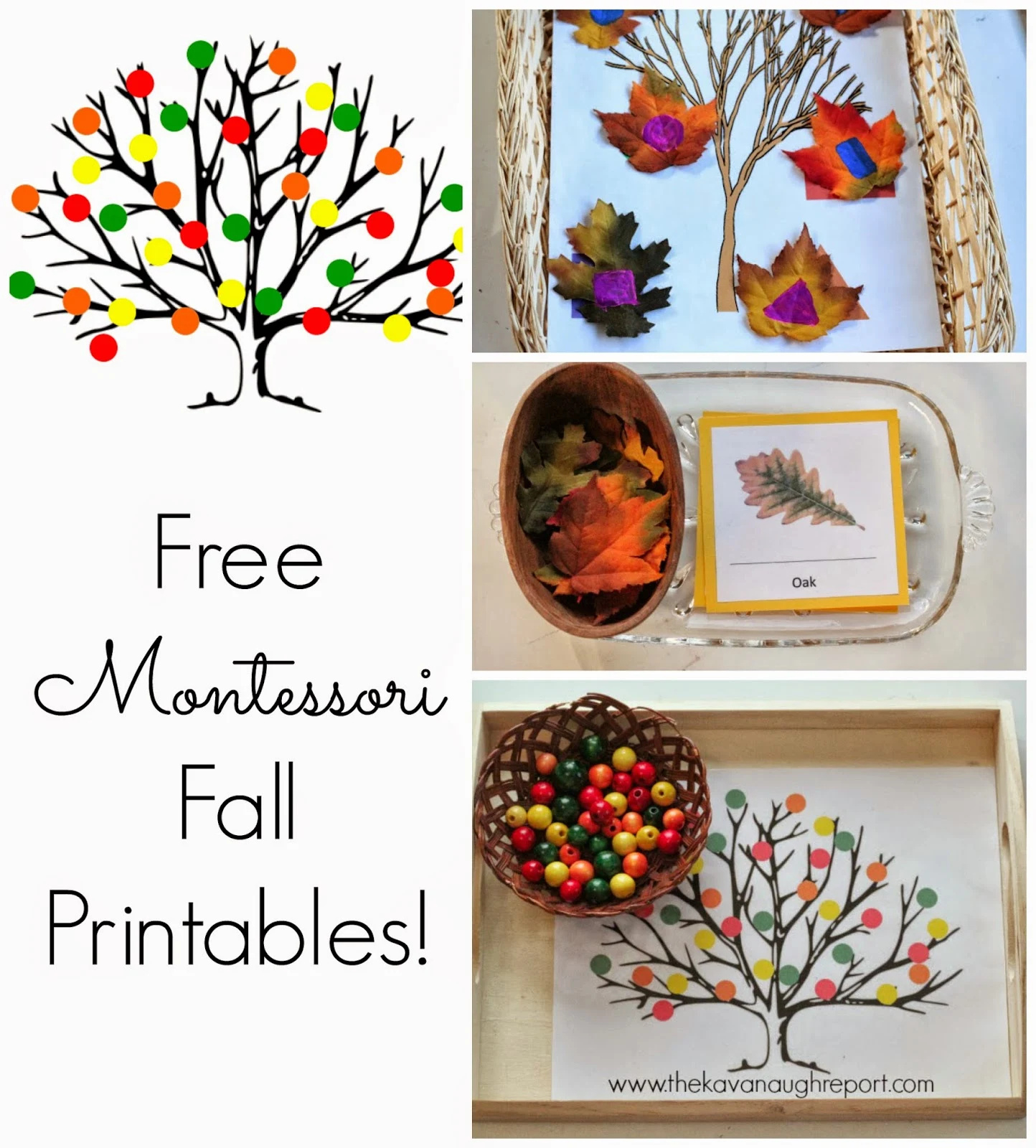 Free Montessori Inspired Fall Printables inside Free Montessori Language Printables