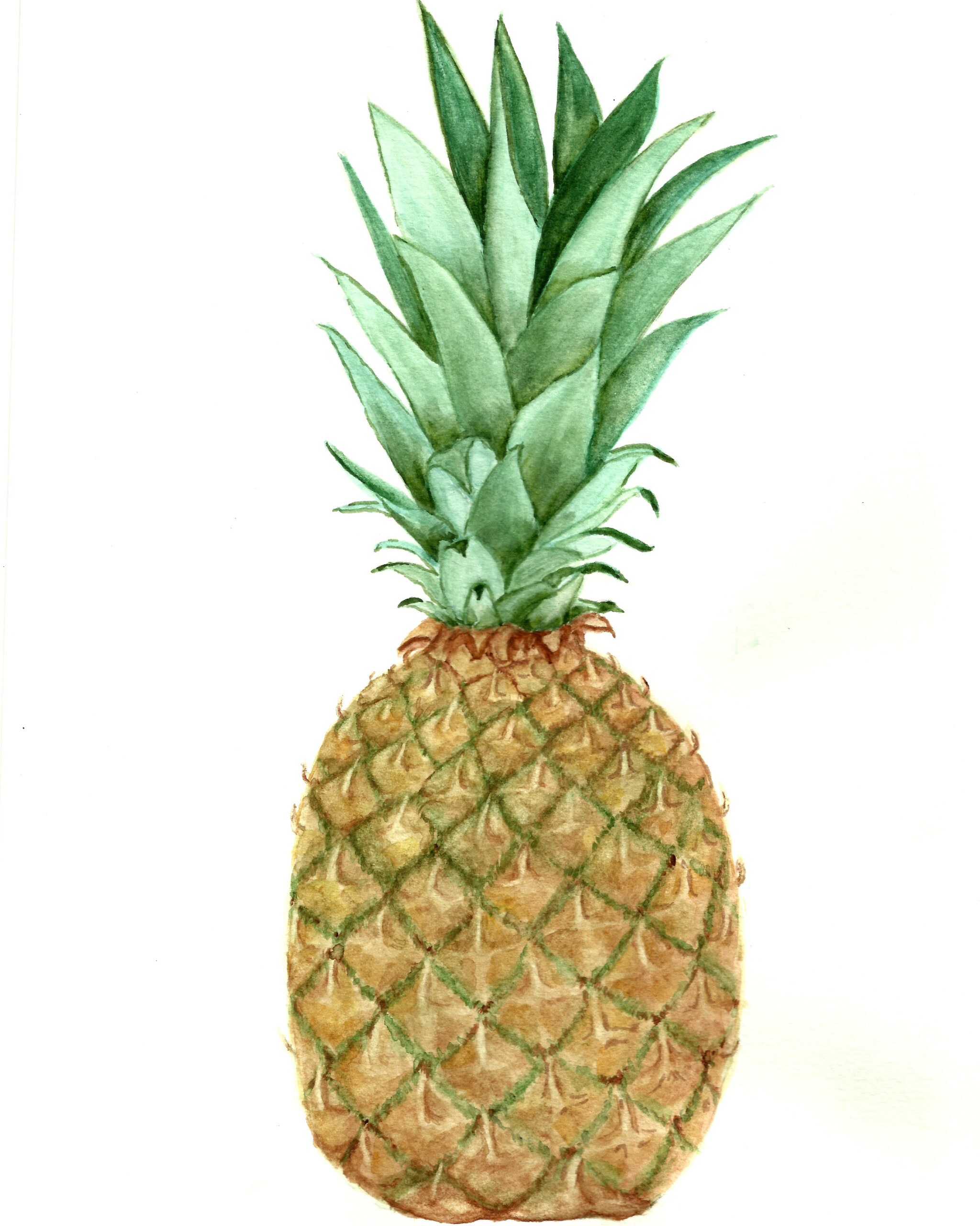 Free Pineapple Watercolor Printable inside Free Printable Pineapple Pictures
