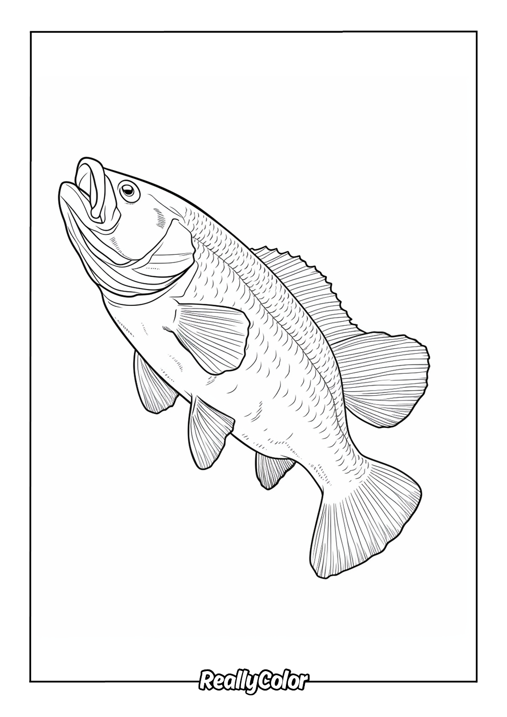 Free Printable Bass Fish Coloring Pages pertaining to Free Printable Bass Fish Pictures