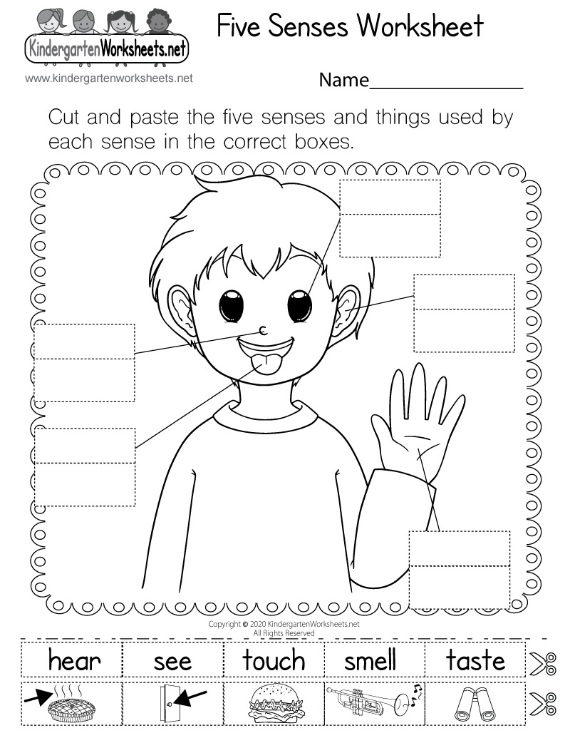 Free Printable Five Senses Worksheet intended for 5 Senses Free Printables