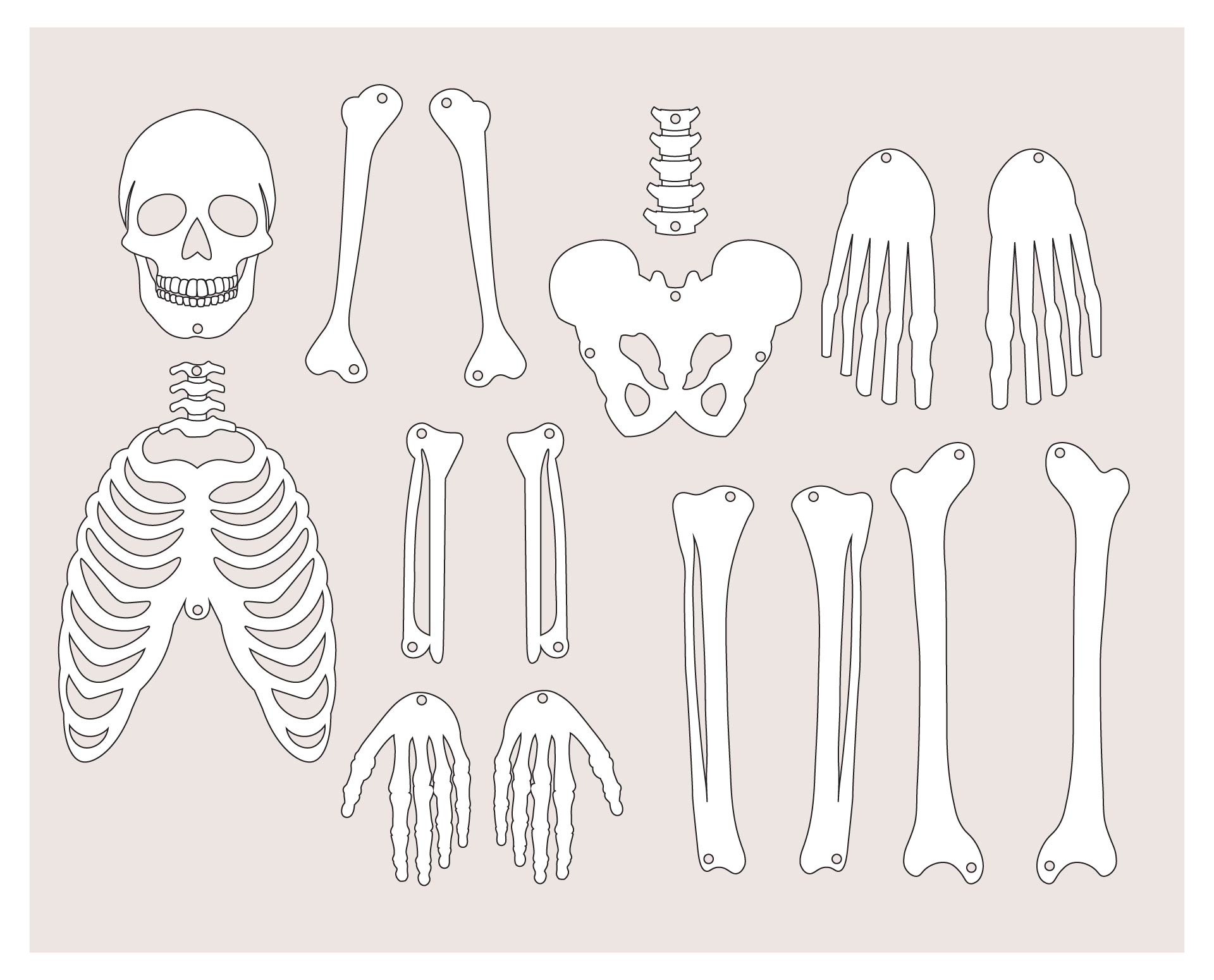 Free Printable Skeleton Template inside Free Printable Skeleton Template Cut Out