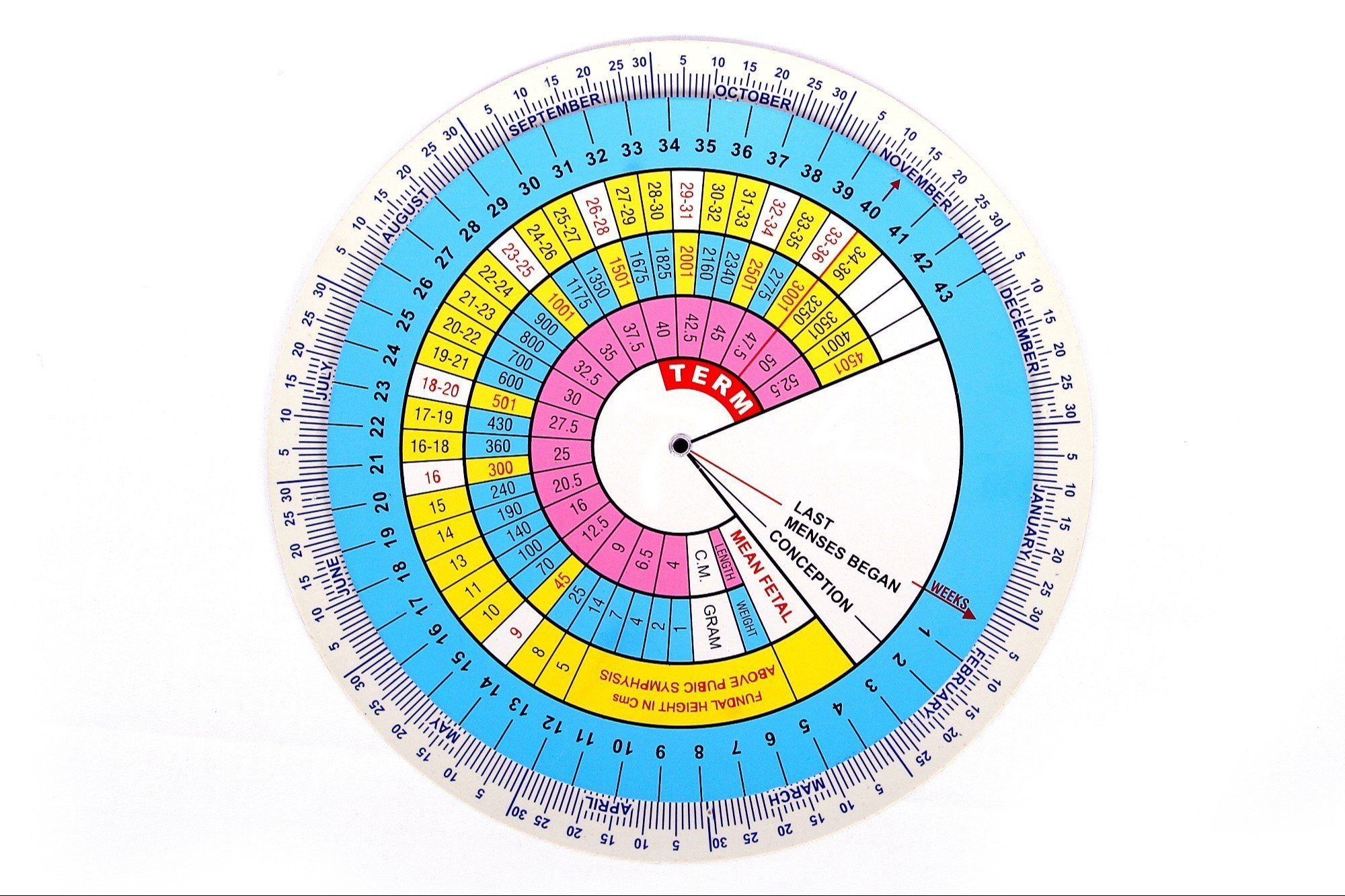 Fresh Plastic Pregnancy Chart Shoponline Gestational within Free Printable Pregnancy Wheel