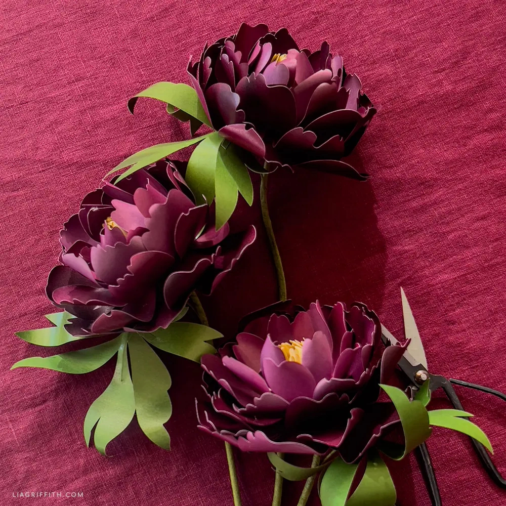 Frosted Paper Flower Tutorials And Patterns - Lia Griffith regarding Lia Griffith Free Templates