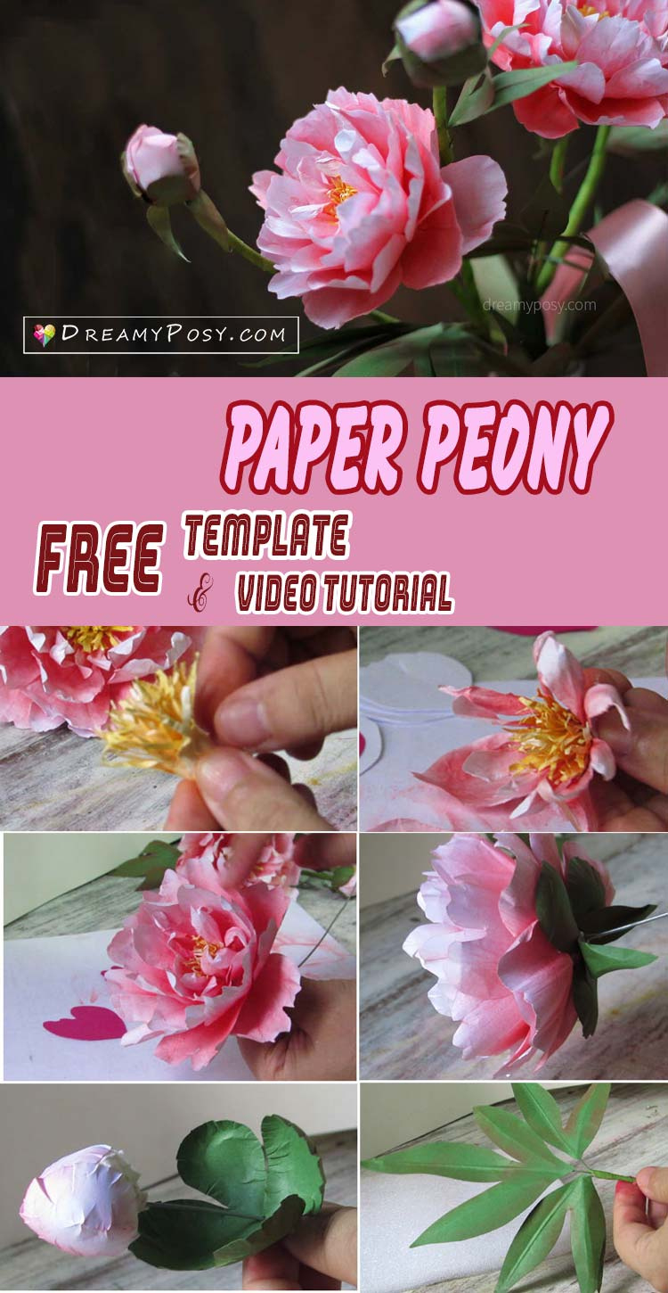How To Make Paper Peony From Printer Paper, Free Template pertaining to Free Printable Peony Flower Patterns