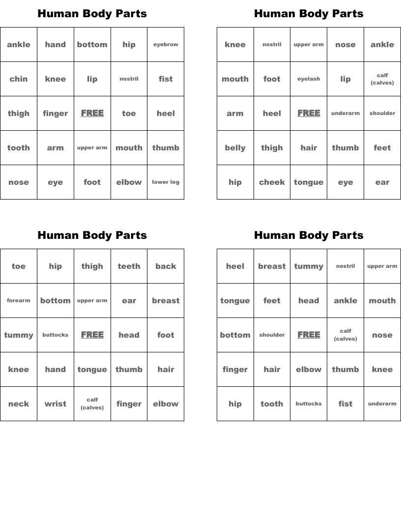 Human Body Parts Bingo Cards - Wordmint regarding Body Parts Bingo Printable Free