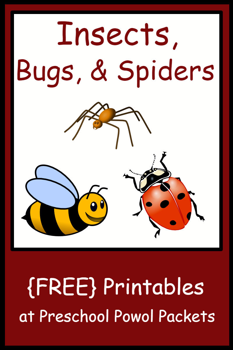 Insect, Bug, &amp;amp; Spider Themed {Free} Preschool Printables throughout Free Insect Printables