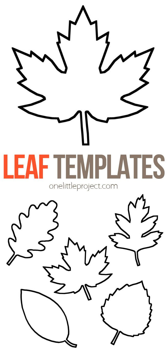 Leaf Template | Free Printable Leaf Outlines - One Little Project pertaining to Printable Maple Leaf Stencils