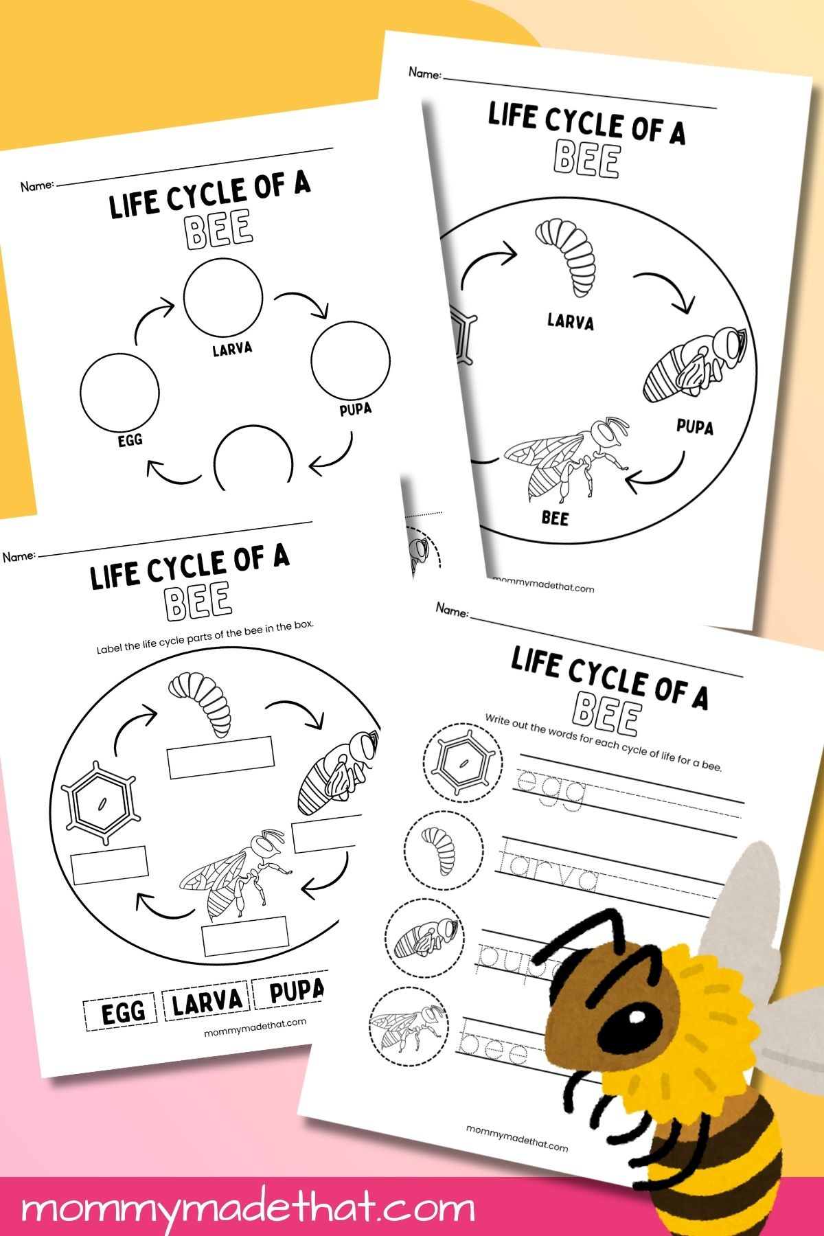Life Cycle Of A Bee Worksheets (Free Printables) regarding Free Printable Bee Life Cycle Worksheets