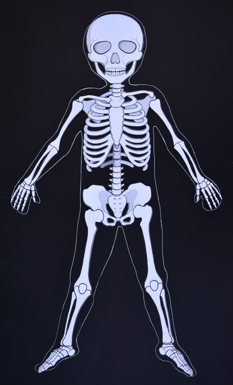 Life-Size Printable Human Skeleton For Kids with regard to Free Life Size Printable Skeleton