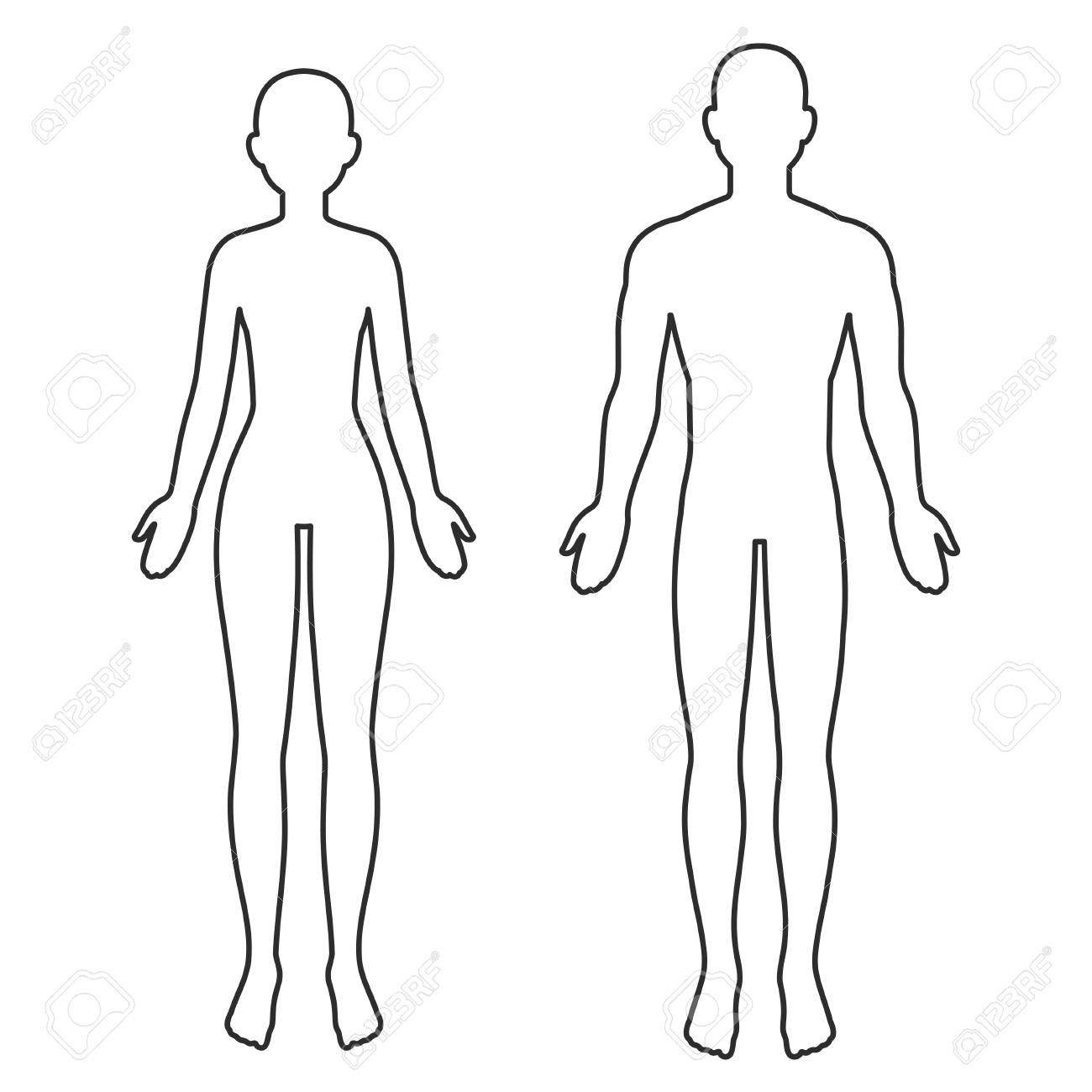 Male And Female Body Silhouette Outline. Blank Anatomy Template with regard to Free Printable Female Body Outline