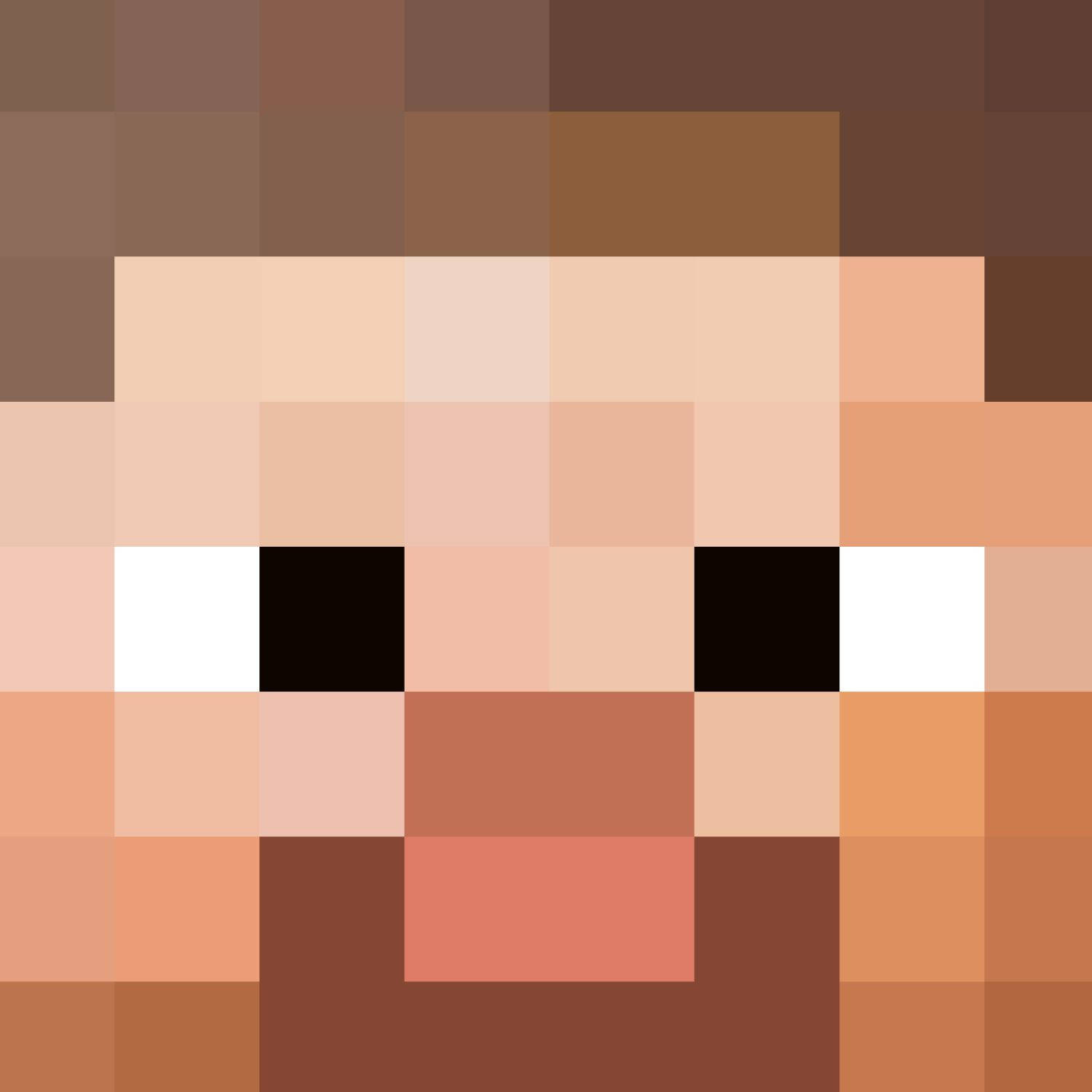 Minecraft Steve Head – Pattern Crew inside Free Minecraft Steve Head Printable