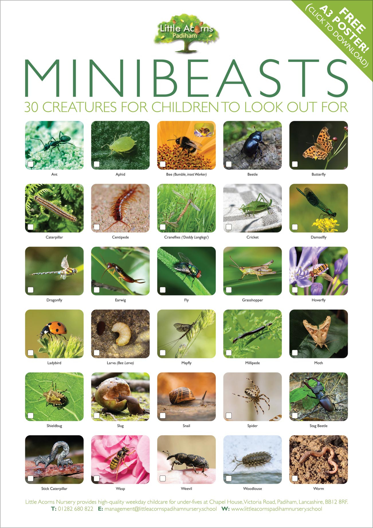 Minibeast Spotting Activity For Kids (With Free Identification with regard to Free Minibeast Printables