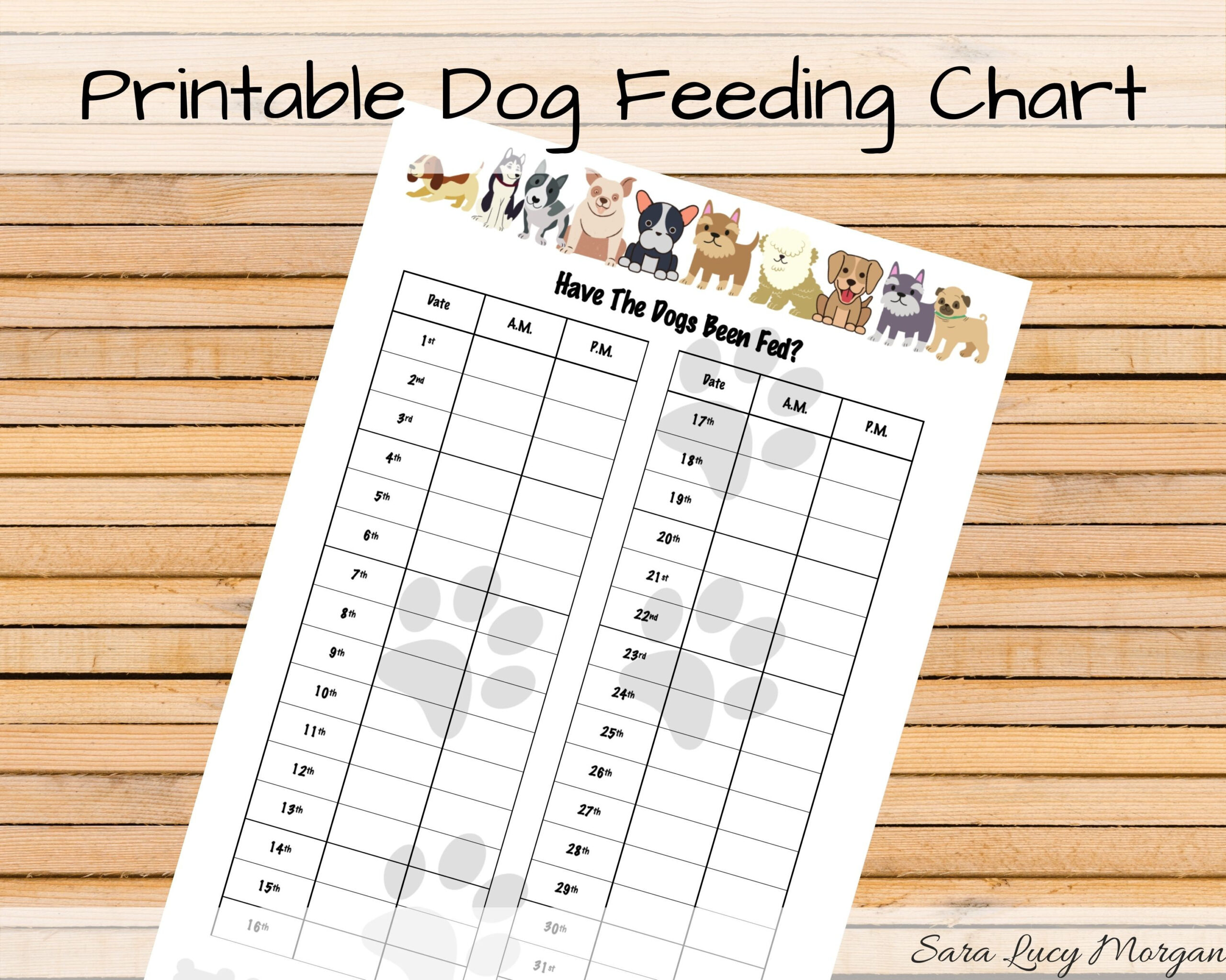 Monthly Printable Dog Feeding Chart. Dog Food Schedule. Pet Food within Free Printable Dog Feeding Chart