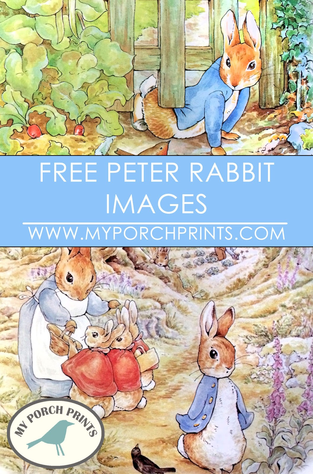 My Porch Prints: Freebie Friday - Peter Rabbit Images regarding Free Beatrix Potter Printables
