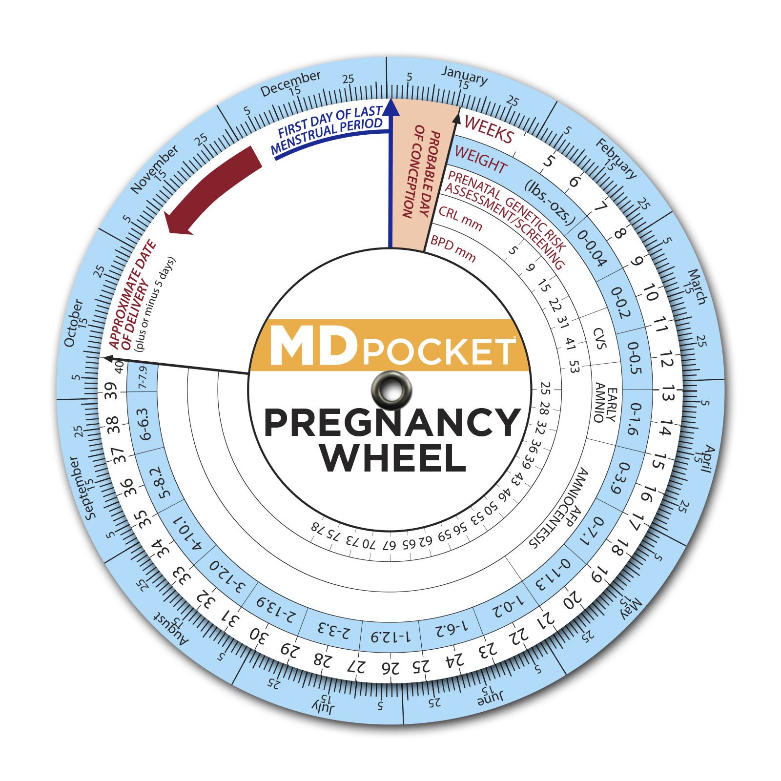 Pregnancy Wheel for Free Printable Pregnancy Wheel