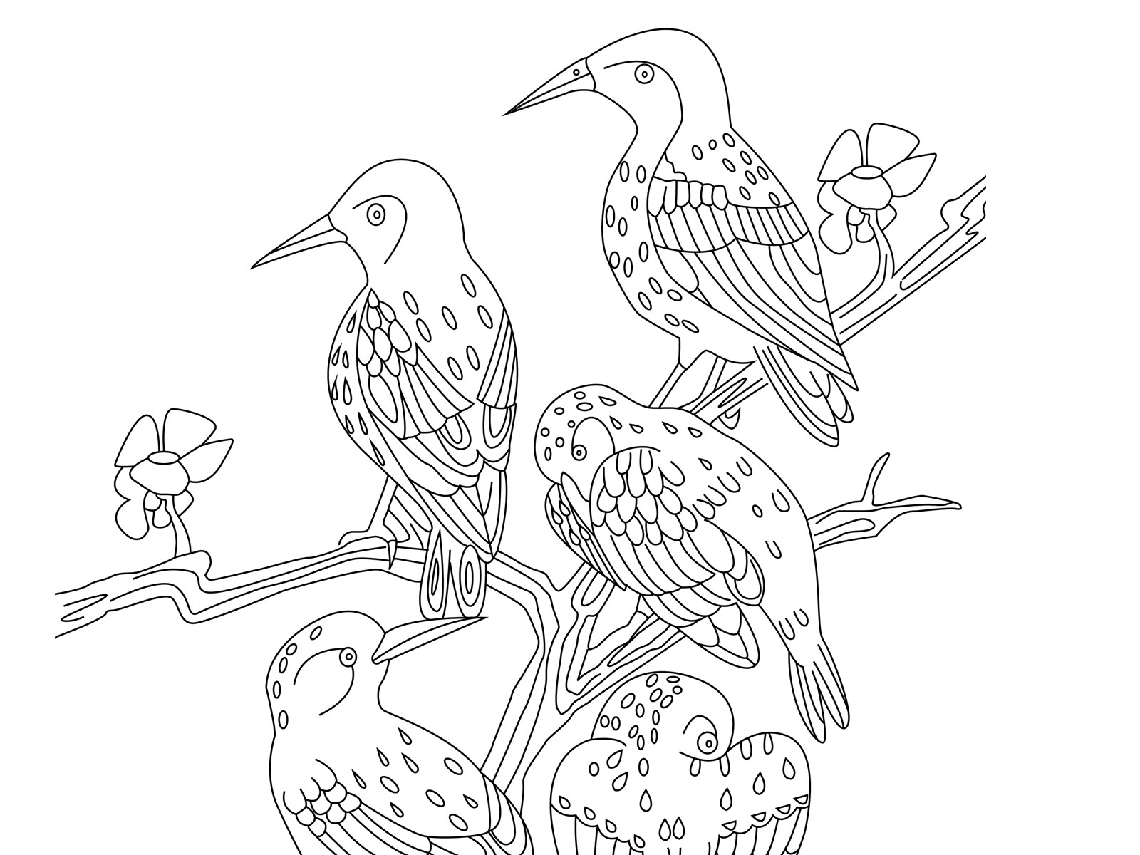 Spot The Differences, Five Birds - Marias Place regarding Free Printable Spot the Difference For Elderly