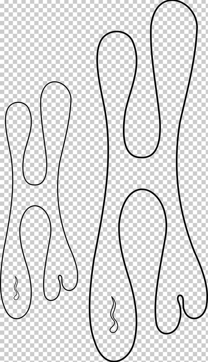 Stencil Airbrush Flame Png - Free Download inside Free Printable Airbrush Stencils