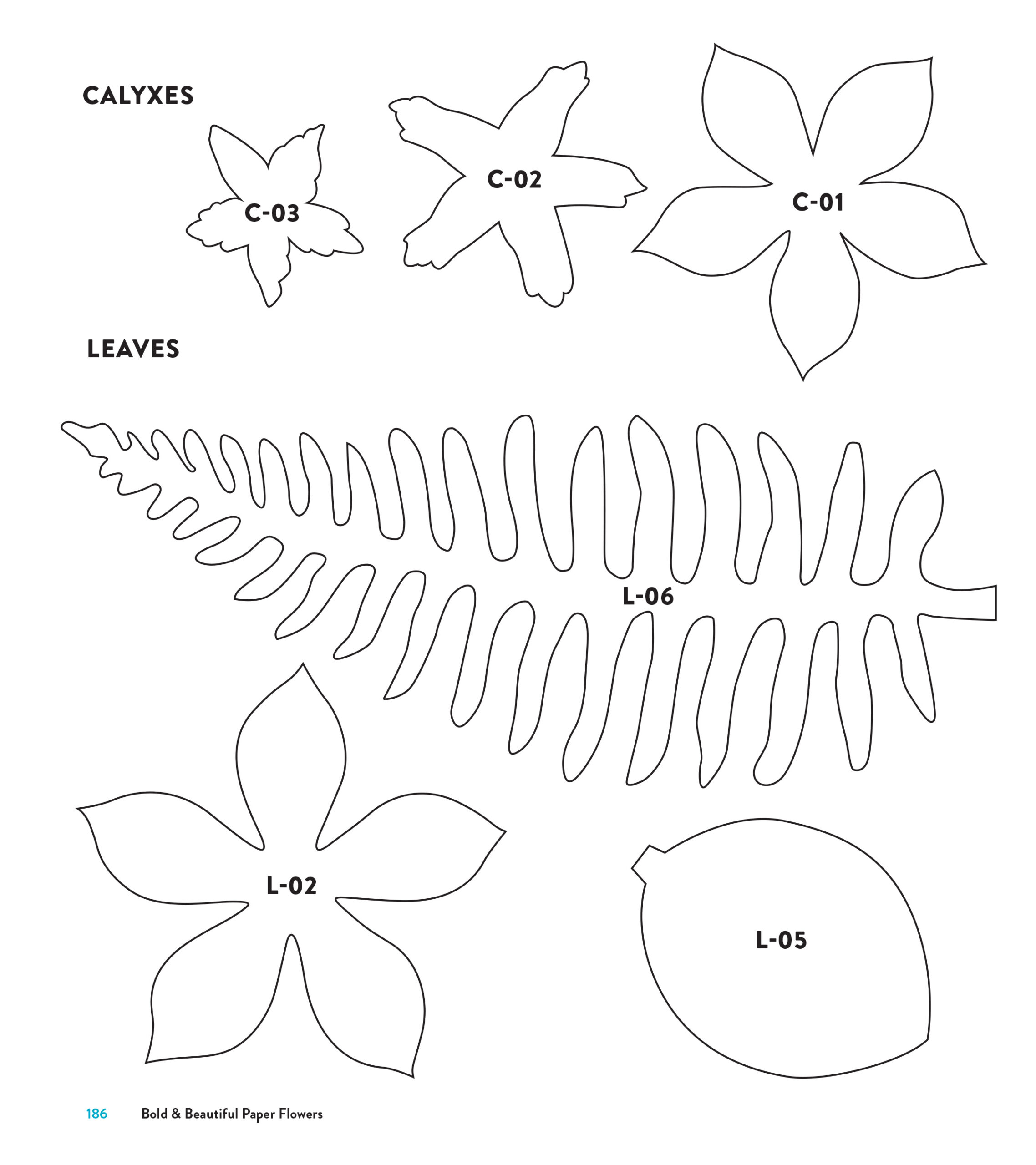 Templates throughout Free Printable Paper Flower Patterns