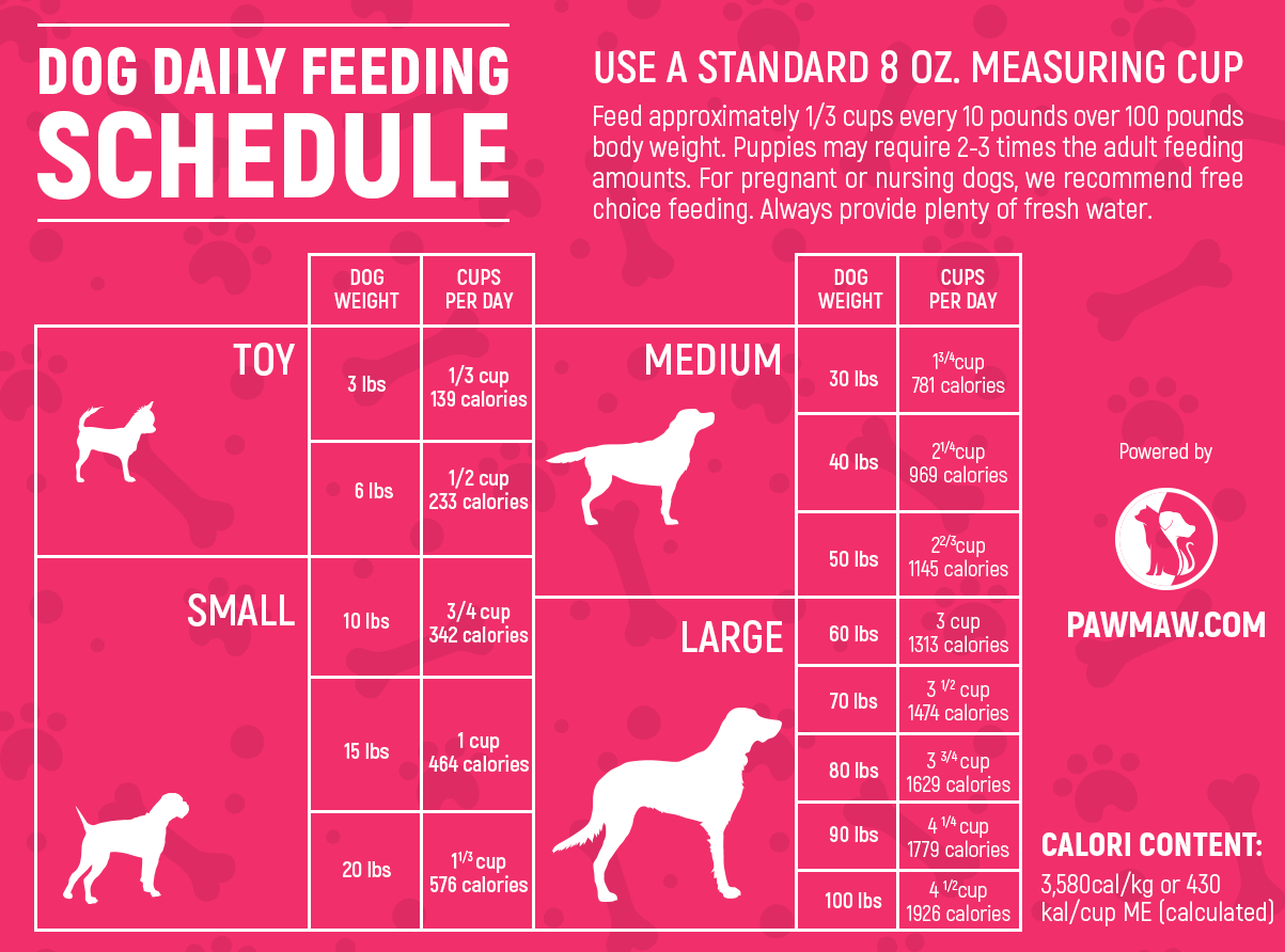 The Ultimate Dog Feeding Schedule Time And Chart throughout Free Printable Dog Feeding Chart